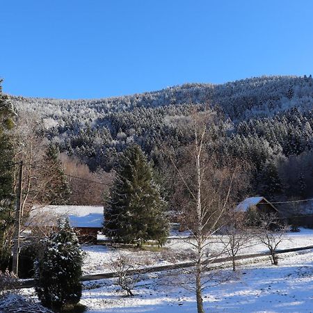 Gite Le Clos Des Vosges Ban-sur-Meurthe-Clefcy Екстериор снимка