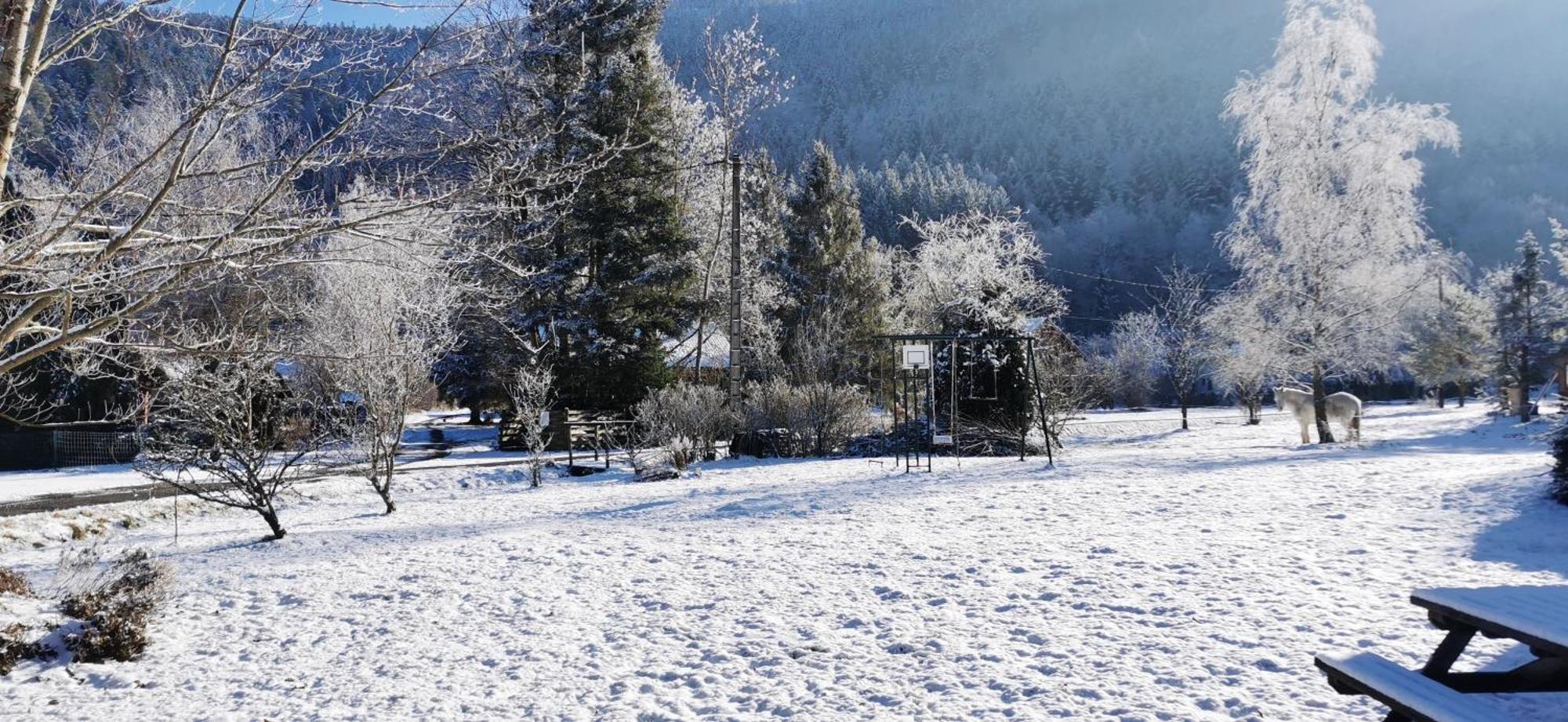 Gite Le Clos Des Vosges Ban-sur-Meurthe-Clefcy Екстериор снимка