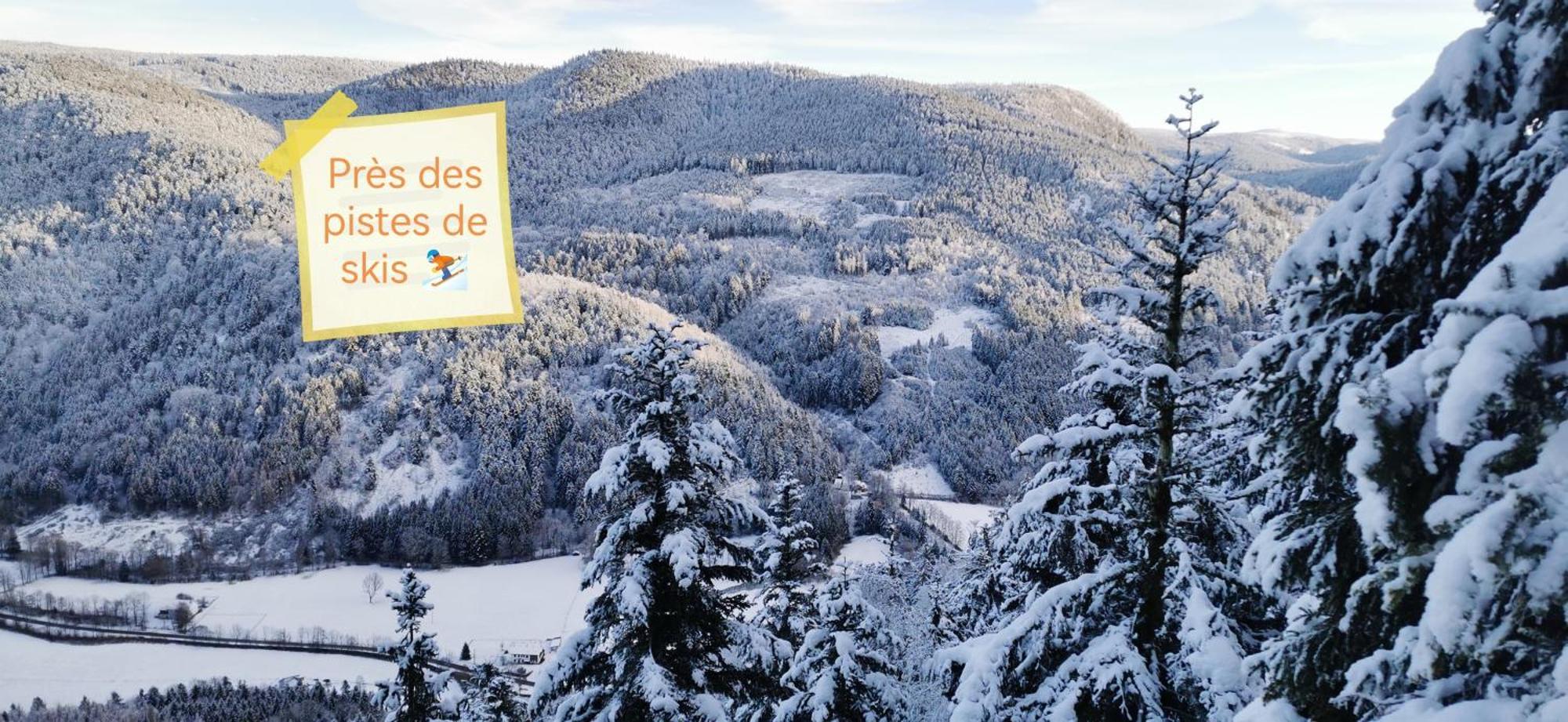 Gite Le Clos Des Vosges Ban-sur-Meurthe-Clefcy Екстериор снимка
